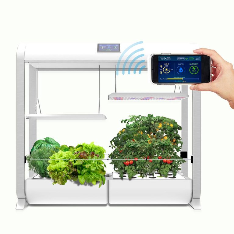 white-aerogarden-hydroponic-systems-900961-1100-64_1000.jpg