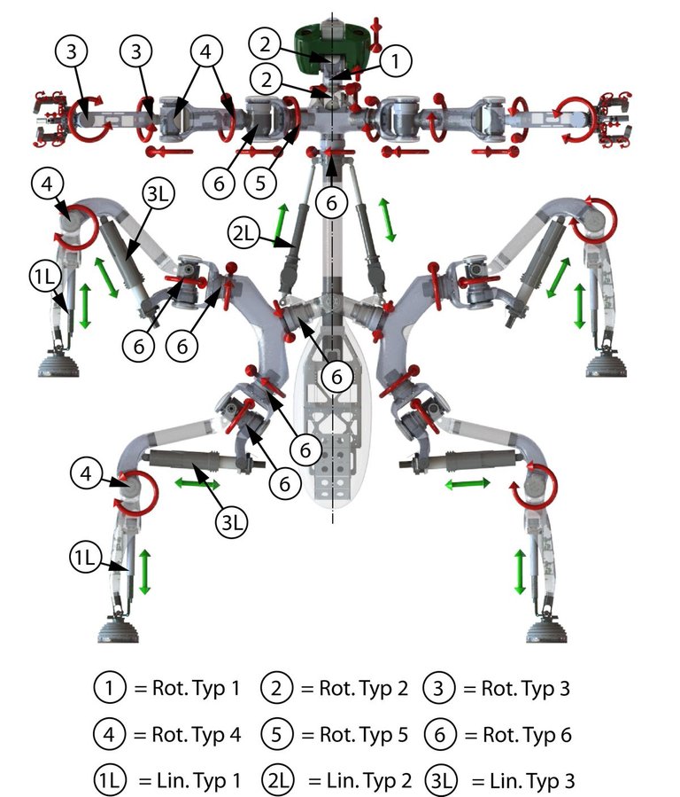 mantis2.jpg