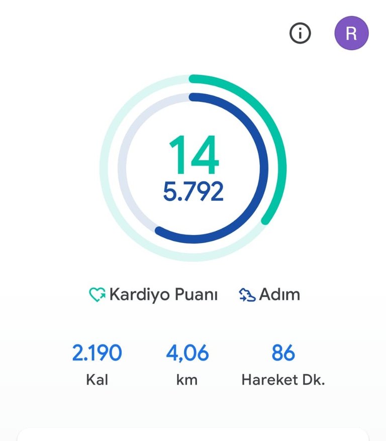 My Daily Activity Report: September 24 2026