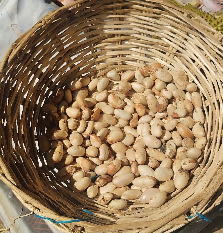 jackfruit-seeds.jpg