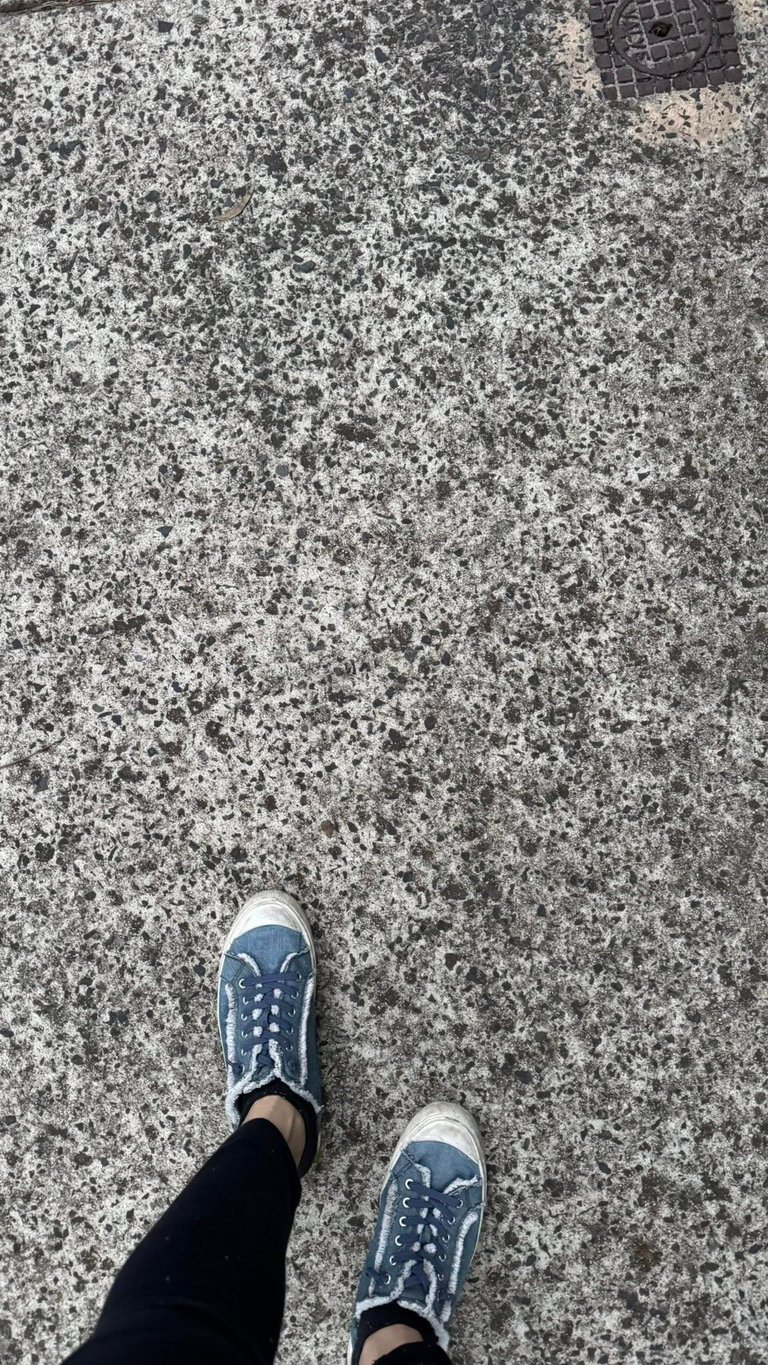 1000156464.jpg