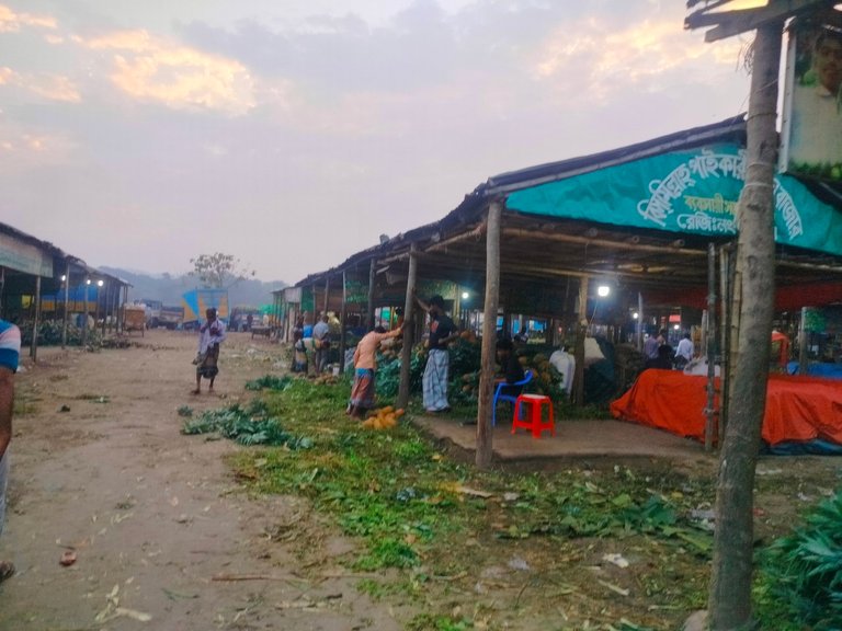 Pineapple stalls and a living picture of rural life in the early morning light