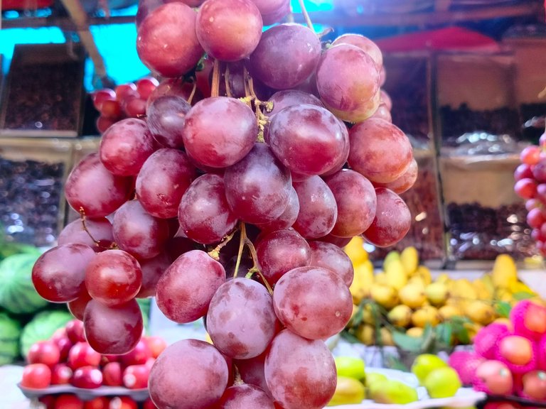 Fruits of Love for Children: A Mother's Sweet Day Story