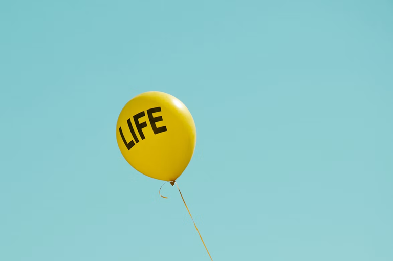 Plan+ Uncertainty(fate)= Life journey