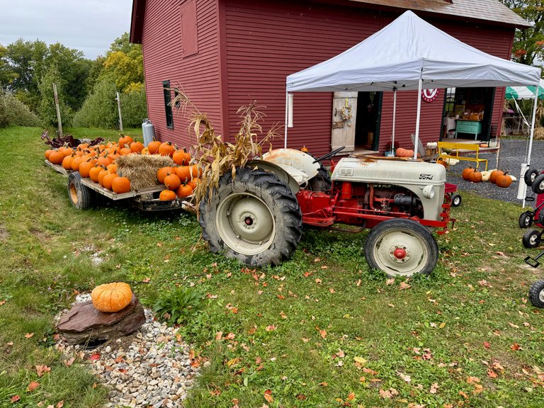 Pumpkins