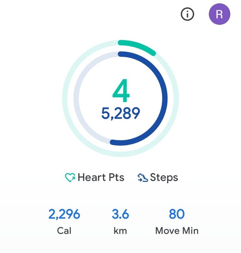 My Daily Activity Report: May 24 2026