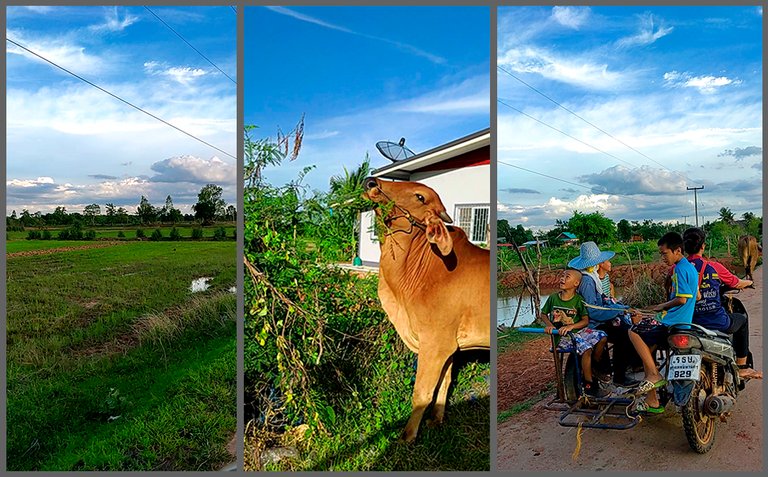 Isaan vibe, the village.