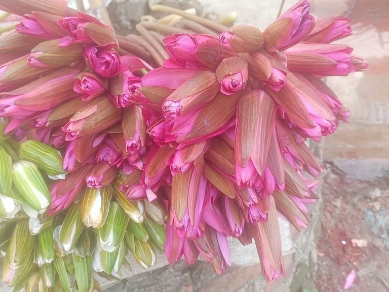 A Floral Display in the Vegetable Market: The Allure of Water Lilies