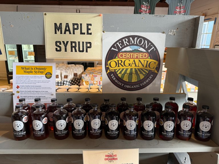 Maple Syrup