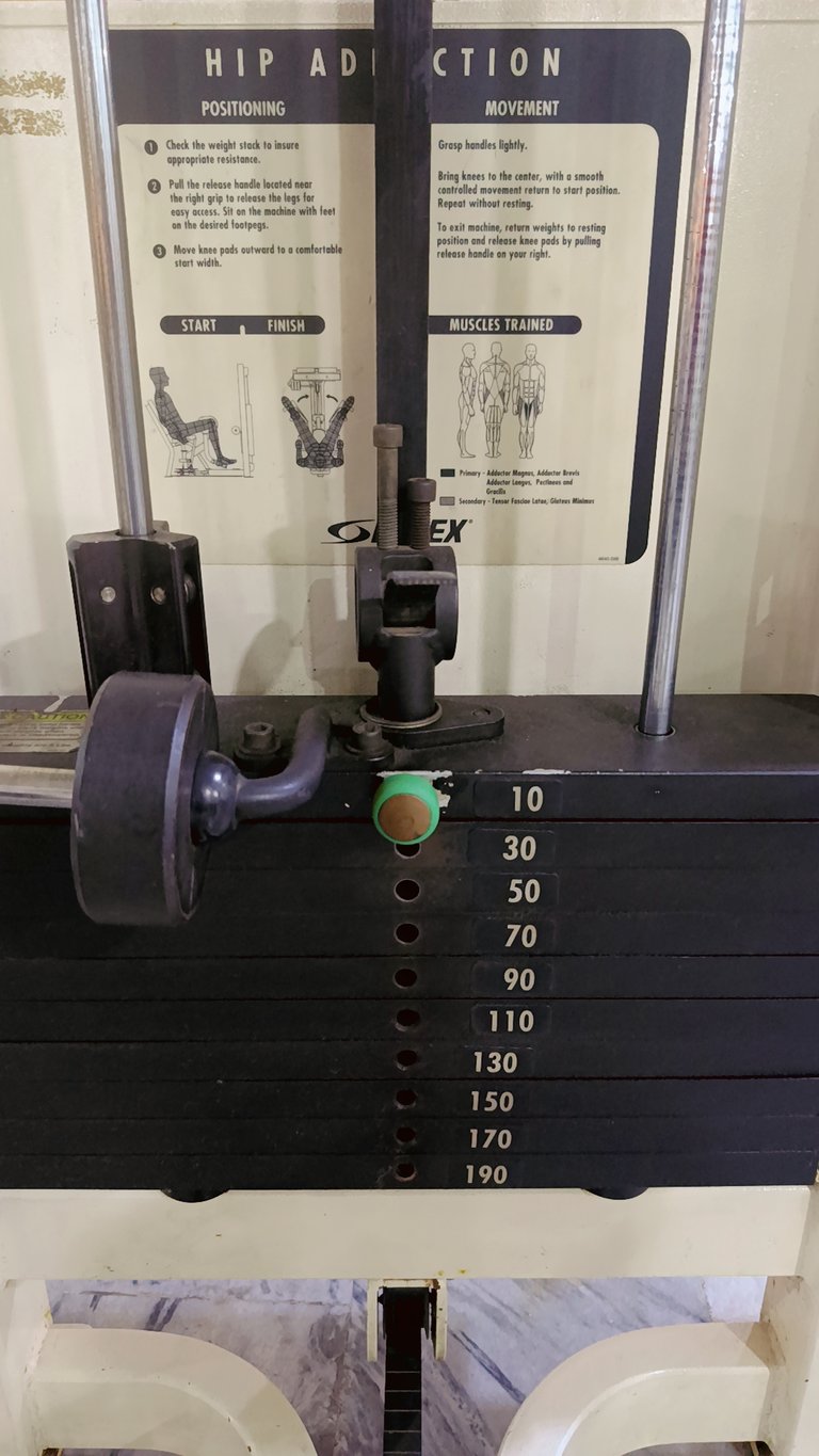 Hip Adductor Muscles Workout