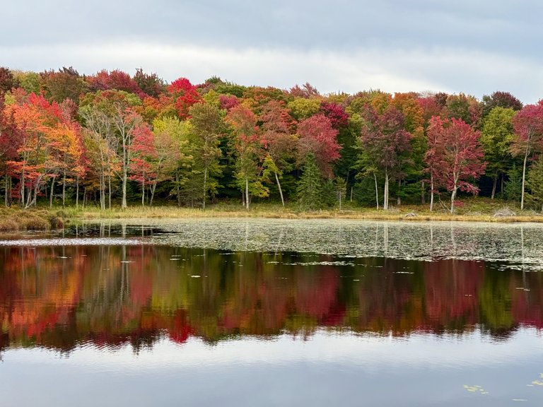 East shore