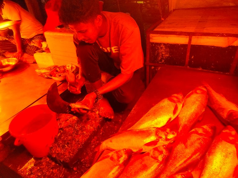 The fish market comes alive with light and darkness as evening falls