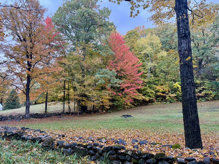 Wall