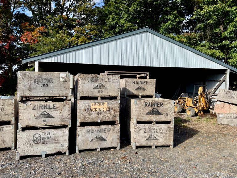 Apple shed