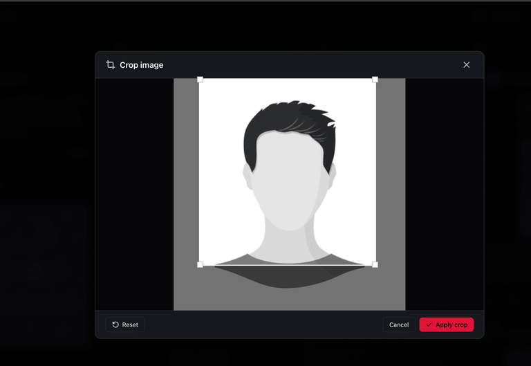 Automatic Image Resizing