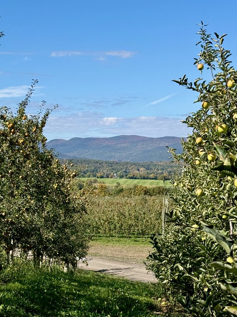 Green apples