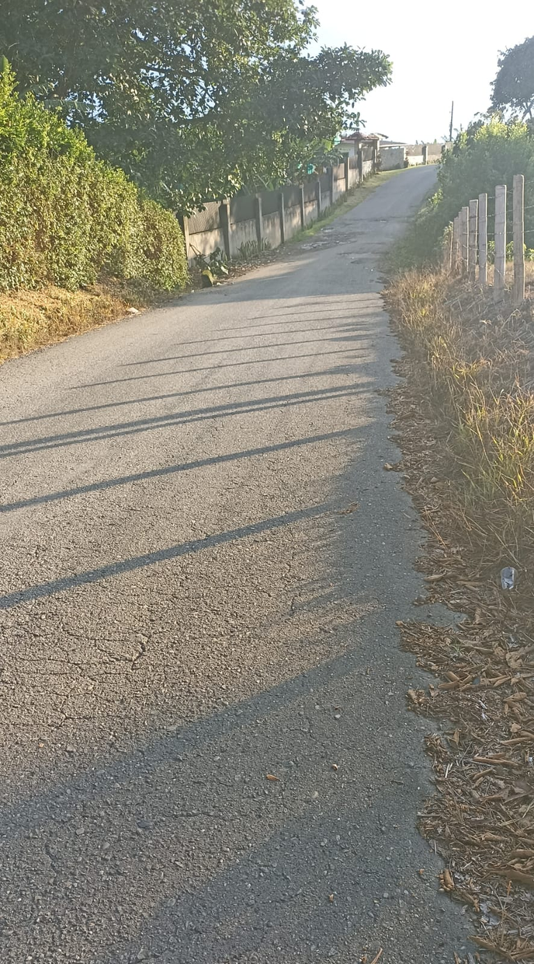 Capturing the Afternoon Shadows. Entry for the Shadow Contest/SMASH #449 (ESP/ENG)