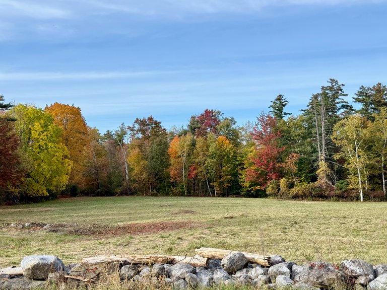 Field over rock wall