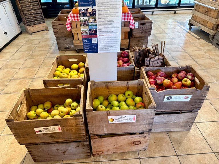 Apples