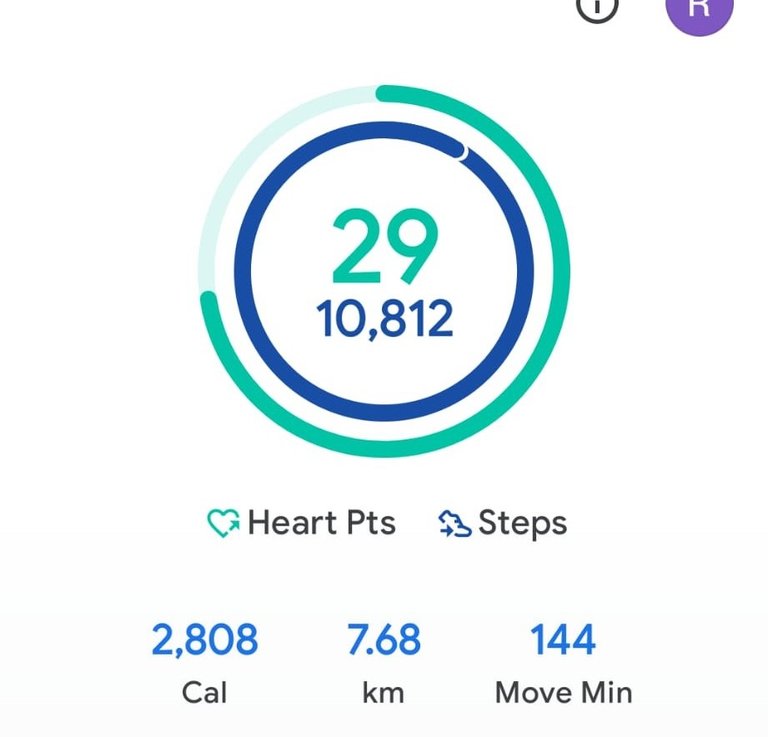 My Daily Activity Report: May 17 2026