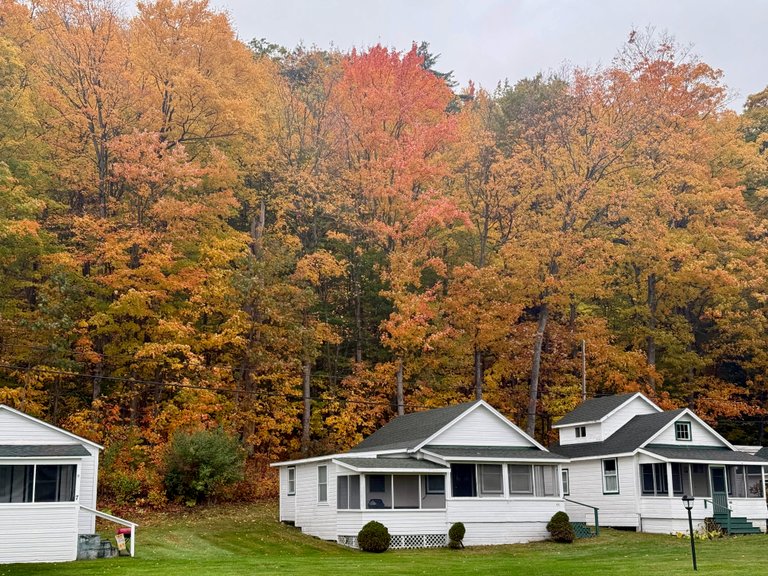 White cabins