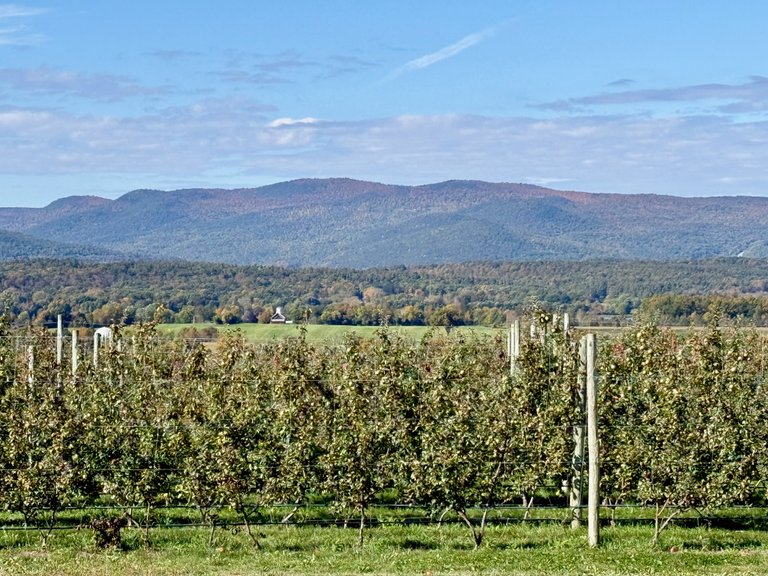Adirondacks