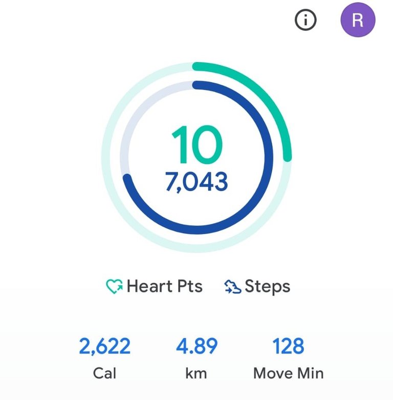 My Daily Activity Report: October 08 2026