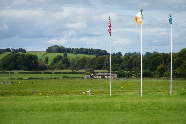 Front lawn flags