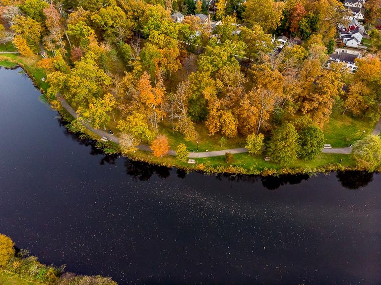 colonphoto-com-013-foliage-autumn-season-Verona-Park-in-New-Jersey-20191025-DJI-0763