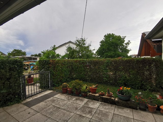 IMG-20230724-160335
