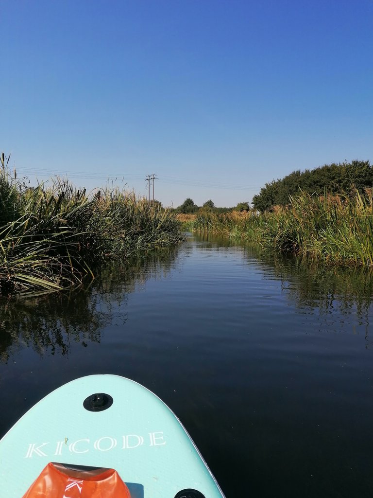 paddleboarding