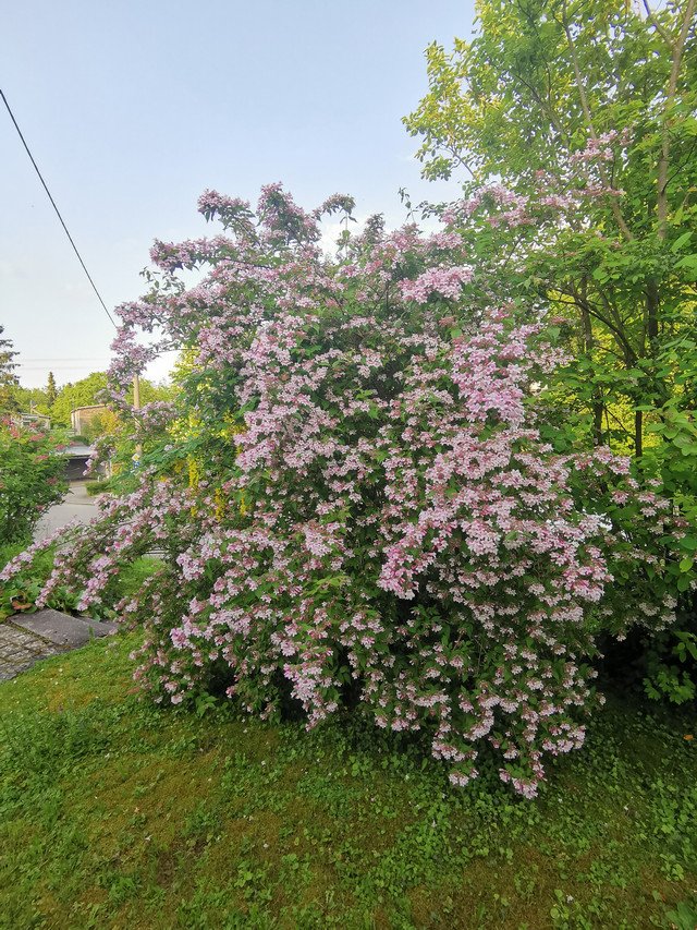 IMG-20230523-193751
