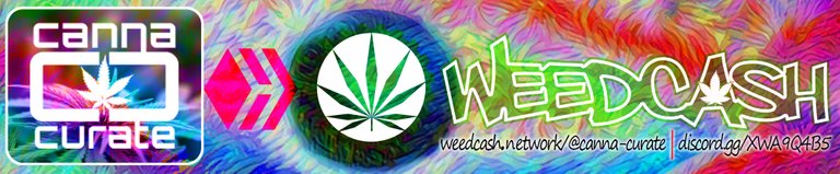 canna-curate-weedcash-hive-blog-banner-post