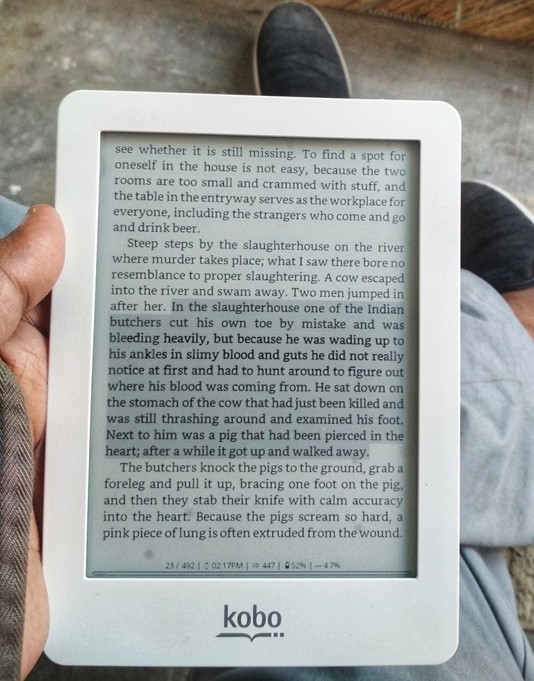 I read on Kobo e-reader, photo taken by me.
