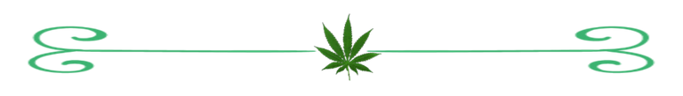 cannabis-hemp-weed-blog-page-divider