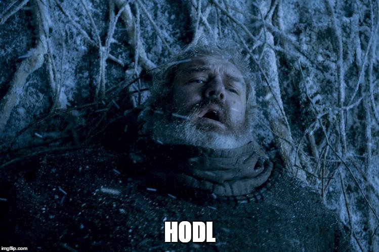 hodl