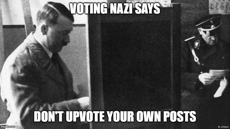 Voting Nazi