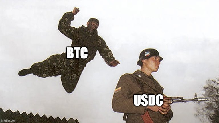 Bitcoin vs USDC