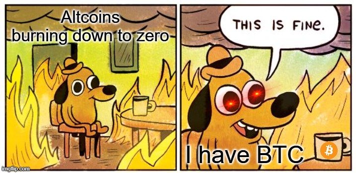 Altcoins burning down to zero