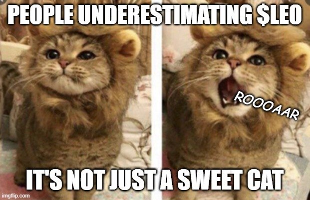 People underestimating Leo