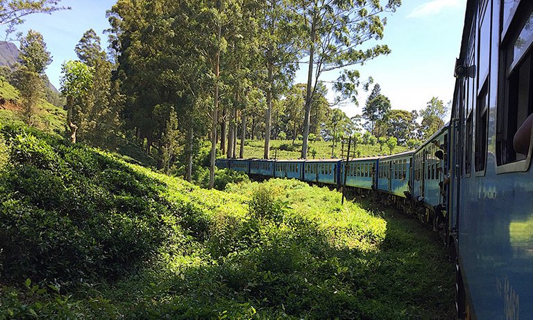 Train in Sri Lanka