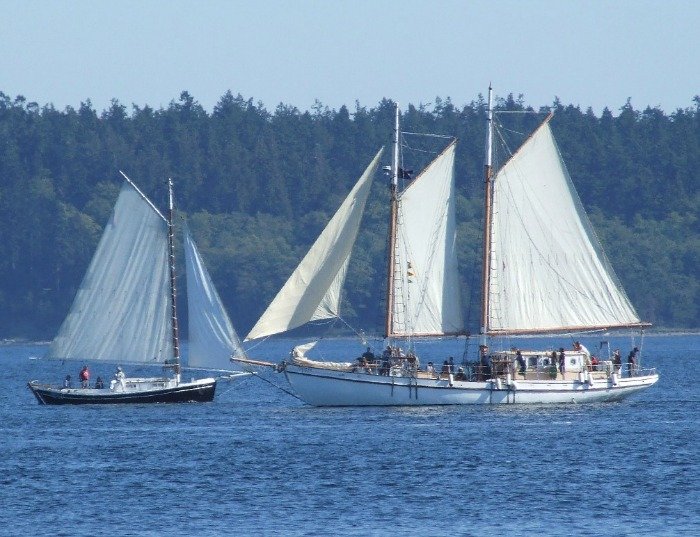 Sailboats