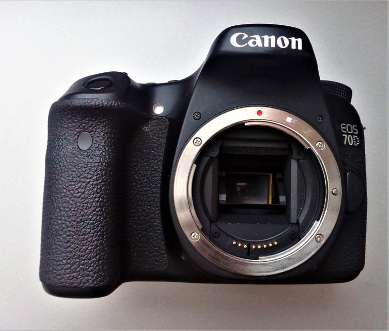 canon 70 D body.jpg