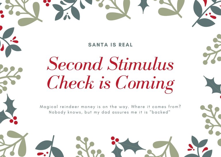 Second Stimulus Check .jpg