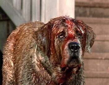 Cujo_002.jpg