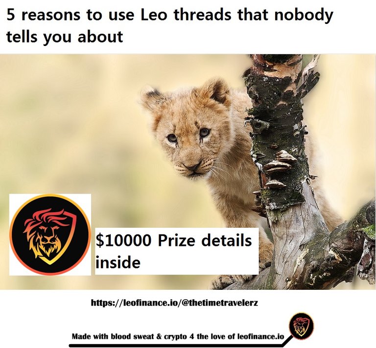 5 reasons to use leo threads.jpg