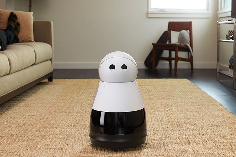 kuri-home-robot-1.jpg