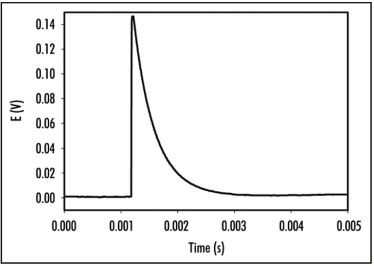 Action Potential