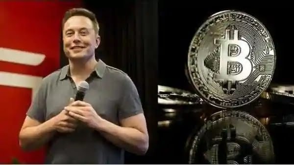 Tesla_CEO_Elon_Musk_1589725478412_1589725478722.webp