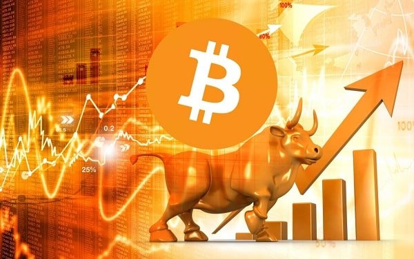 report_bull_market_crypto.jpg